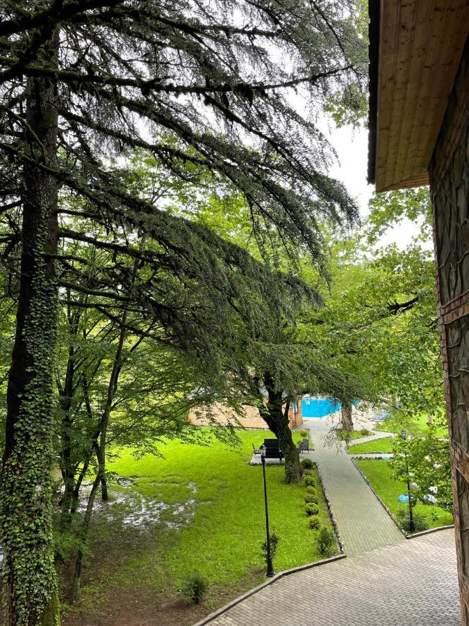 Wald Hotel 拉戈代希 外观 照片